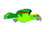 Green Flying Parrot