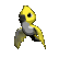 Yellow Flying Parakeet