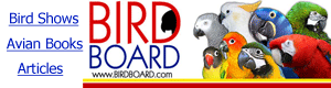 Bird Board.com