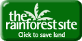 Help Save the Rain Forest!  Click here to save our land!