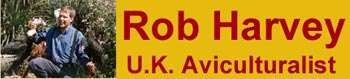 Rob Harvey: U.K. Aviculturalist