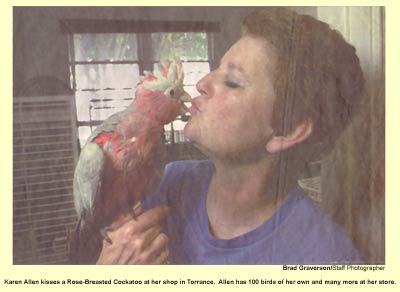 Karen Allen kisses a Rose-Breasted Cockatoo