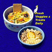 Veggies and Treats Daily