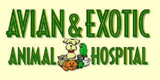 Avian & Exotic Animal Hospital, Hawthorne, California