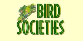 Visit Bird Societies from Around the World!