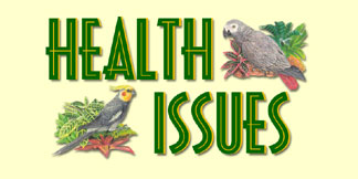 Learn About Health Tips for Your Bird!